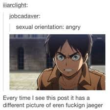 Otaku Chan ਊ On Instagram Of Course It Does Eren Is Literally The Definition Of Angry Attack On Titan Comic Attack On Titan Anime Attack On Titan