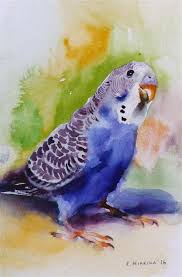 Original Fine Art By C Katya Minkina In The Dailypaintworks Com Fine Art Gallery Parrots Art Watercolor Bird Bird Art