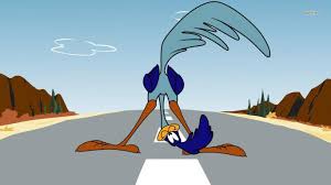 We did not find results for: Road Runner Wallpapers Wallpaper Cave