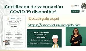 En la primera jornada en jalisco, el desorden imperó por varios momentos. Paso A Paso Para Obtener El Certificado De Vacunacion Covid 19 Capital 21 Noticias