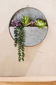 Next Succulent Wall Hanging Green Succulent Wall Hanging Succulent Wall Hanging Plants