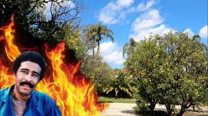 This is for all you soul man on fire (published 2014). 965 Where Did Richard Pryor Set Himself On Fire Jordan The Lion Daily Travel Vlog 3 29 19 Youtube