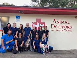 Whether it's an annual checkup, vaccinations, spay, neuter, or other surgical procedure, our doctors and experienced staff are here affordable and sensible solution to your pet's care, health and. Tampa Fl 33611 Veterinary Hospital Animal Doctors Of South Tampa