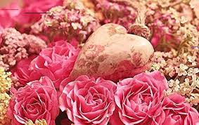 Download gambar bunga pink rose. Wallpaper Bunga Mawar Love 59 Kumpulan Aneka Gambar Bunga Mawar Dan Jenisnya T 3dwall 3d Rose