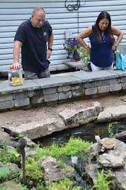 We did not find results for: Designing And Building Ponds For Turtles Pond Trade Magazine