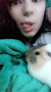 Rehoming a 5-year-old female cat in Greensburg, PA