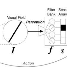 Pdf The Simulation Of Smiles Sims Model A Window To General Principles In Processing Facial Expression