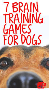 Brain Training For Dogs 7 Brain Games To Play With Your Pup Brain Training Games Dog Training Obedience Dog Training