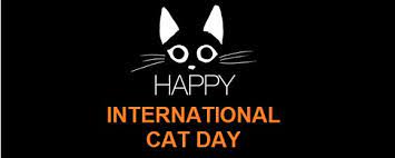 We did not find results for: Internationaler Katzentag Worship Me Human Beyond Pixels