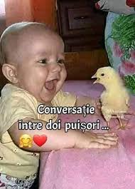 Cele mai frumoase mesaje si citate celebre