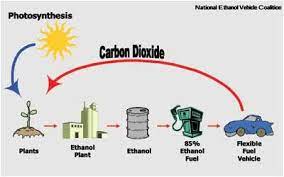 This Is A Diagram Of A Ethanol Cycle I Would Give This A 3 Because Yes It Can Help With Our Gasoline However There Som Emergency Prepping Alt Energy Fuel
