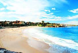 Looking for a more interesting background for your next virtual zoom meeting? Sand Beach Free Animation Animated Gif