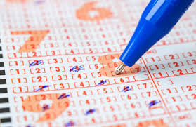 Whereas the winning numbers of powerball plus lottery are 07, 22, 29, 39, 49 and the power number is 04. Daily Lotto Results Thursday 17 June 2021 The Citizen