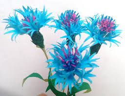 Pin On Fantastic Flowers