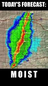 images?q=tbn:ANd9GcRxOw21oCSIpIBJWJJh4YwbWGcTDkzbglToKQ&s