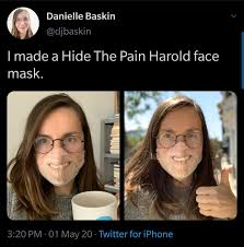 Thanks I Hate Hold The Pain Harold Mask Tihi