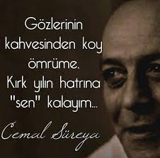 Cemal Sureya Anisina En Guzel 5 Siiri 2021 Guzel Soz Siir Ilham Verici Sozler