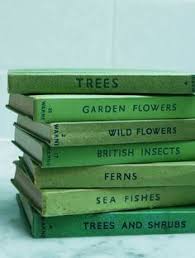 The grey takes away the warmth, while the green adds a touch of color to the room. 200 Green Aesthetic Ideas In 2021 Green Aesthetic Green Planting Flowers