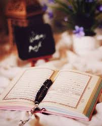 Pin By Anam Fatema On القرآن الكريم Holy Quran Quran Book Cover