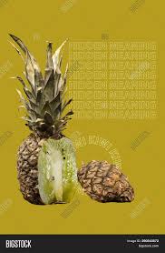 Unusual and exotic fruit and nut plant seeds from around the world fruit and nut plants from around the world check out our papaya seed page for papaya (carica) varieties from around the world ip073 artic kiwi, siberian gooseberry (actinidia arguta) Paradox Unusual Fruit Image Photo Free Trial Bigstock