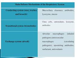 Pathology Of Respiratory System Ppt Download