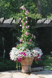 37 Simple Container Garden Flowers Ideas Puutarhaideat Ruukkupuutarha Kesakukkia