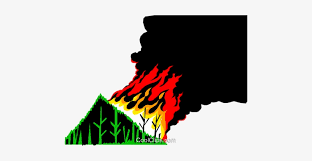 forest fire royalty free vector clip art illustration forest fire vector png transparent png 480x345 free download on nicepng forest fire royalty free vector clip