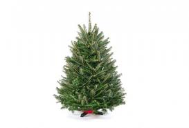 Check spelling or type a new query. 3 Ft Tabletop Premium Grade Real Christmas Tree