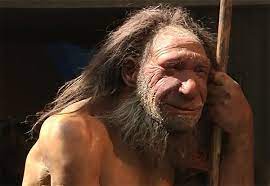 What do you think would have happened to the neanderthals if modern humans hadn't entered the scene? Neandertal Museum Tal Blickpunkt Nrw De