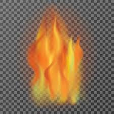 Check spelling or type a new query. Realistic Fire Flames Isolated On Transparent Background Vector Illutration 2299390 Vector Art At Vecteezy