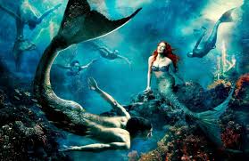 Variety of content on your fingertips!. 3d Wallpapers Android Phones Free Download Wallpaper Annie Leibovitz Disney 1504x974 Wallpaper Teahub Io