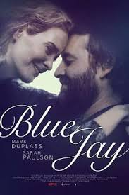 Blue Jay (film)