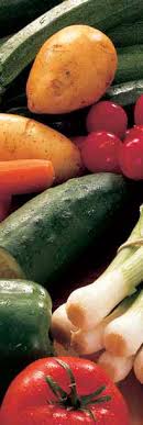Http Www Doc Developpement Durable Org File Paysagisme Livres Doc Fruits 20et 20l C3 A9gumes 20biologiques 20des 20r C3 A9gions 20tropicales 20 20unctac Pdf