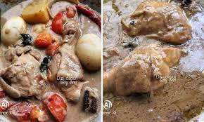 Cara buat opor ayam ini mudah dan ga gampang basi kaya opor yg pake santan sebenernya bahannya sama cuman lbh banyak. Resepi Ayam Kurma Tanpa Guna Santan Memang Sedap Mudah Untuk Dicuba Daily Makan
