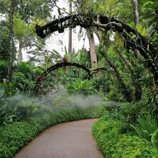 In 2018, bgci updated the criteria that define. Singapore Botanic Garden Strolling Through Endless Beauty