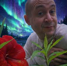 Get your #TacoTuesday fix at Trejo's Tacos 🌮