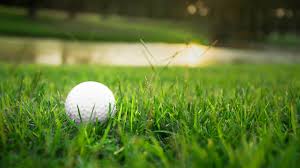 We did not find results for: What Is Bermuda Grass And What S The Best Way To Play From It
