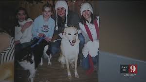 Pet care center of apopka, apopka, fl. 9 Investigates Animal Cremation Controversy At Apopka Company Wftv