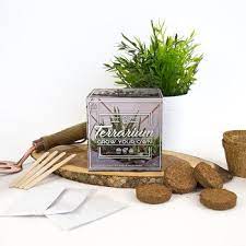 It's both stylish and rugged, fits perfectly into the style trend of busy geometric patterns, but is the smooth surface of the building bricks contrasts beautifully with the cactus's spikes. Plant Terrarium Kit Grow Cactus Kits At Home Into The Blue
