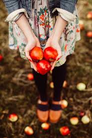 Apple Season Fall Photoshoot Autumn Aesthetic Autumn Inspiration