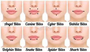 Maybe you would like to learn more about one of these? Pin On Piercings
