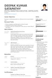 Check spelling or type a new query. Marketing Resume Digital Marketing Resume Example