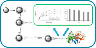 Edta Cu Ii Chelating Magnetic Nanoparticles As A Support