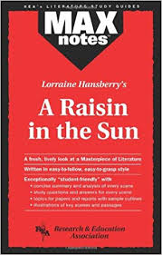 amazon com raisin in the sun a maxnotes literature guides