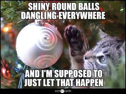 These Holiday Cat Memes Will Get You In The Christmas Spirit Cole Marmalade