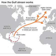 After crossing the entire atlantic current reaches northern europe. Slowing Gulf Stream Current To Boost Warming For 20 Years Bbc News