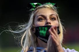 Mason vs. Williamston, Pewamo-Westphalia vs. Lansing Catholic: Photos