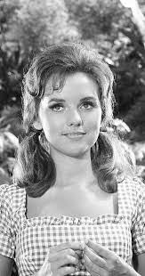 Lois Corey's Instagram, Twitter & Facebook