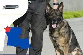 Fundraiser For Local Child