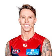 Official AFL Website of the Brisbane Lions Football Club